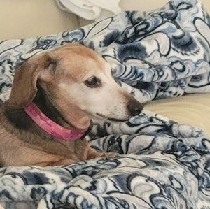 Meet your Posher, Jill